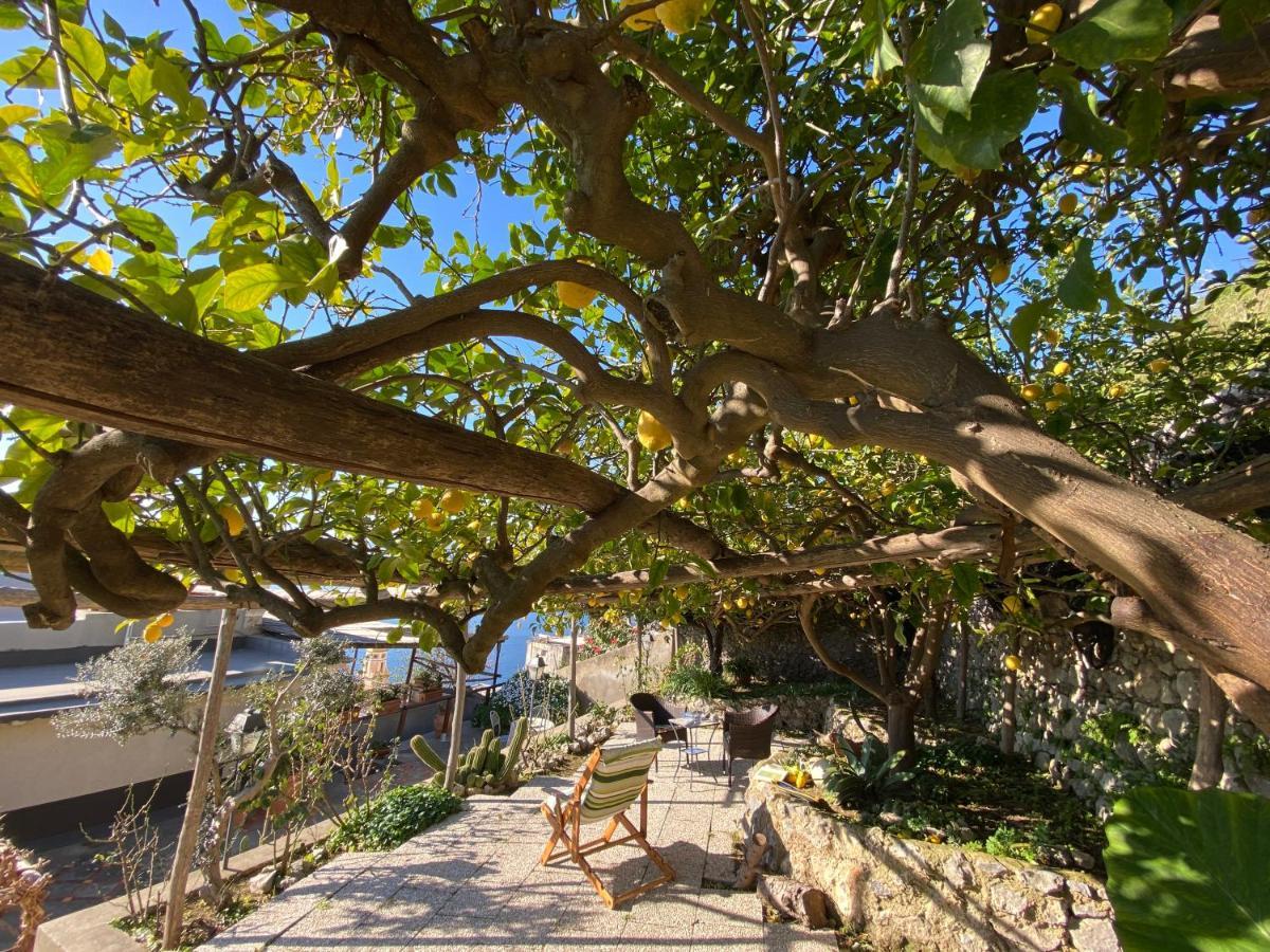 Giardino Eden Villa 普莱亚诺 外观 照片