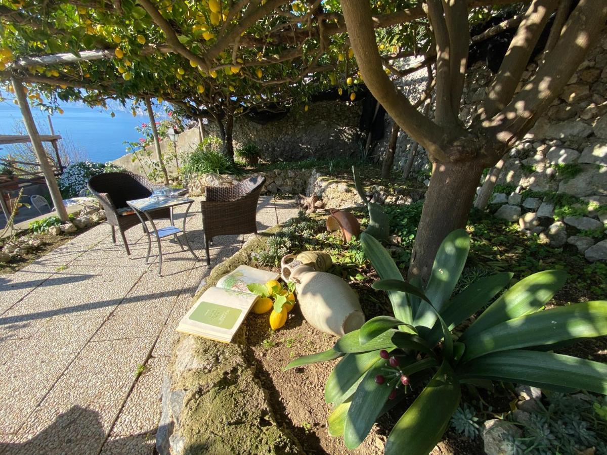 Giardino Eden Villa 普莱亚诺 外观 照片