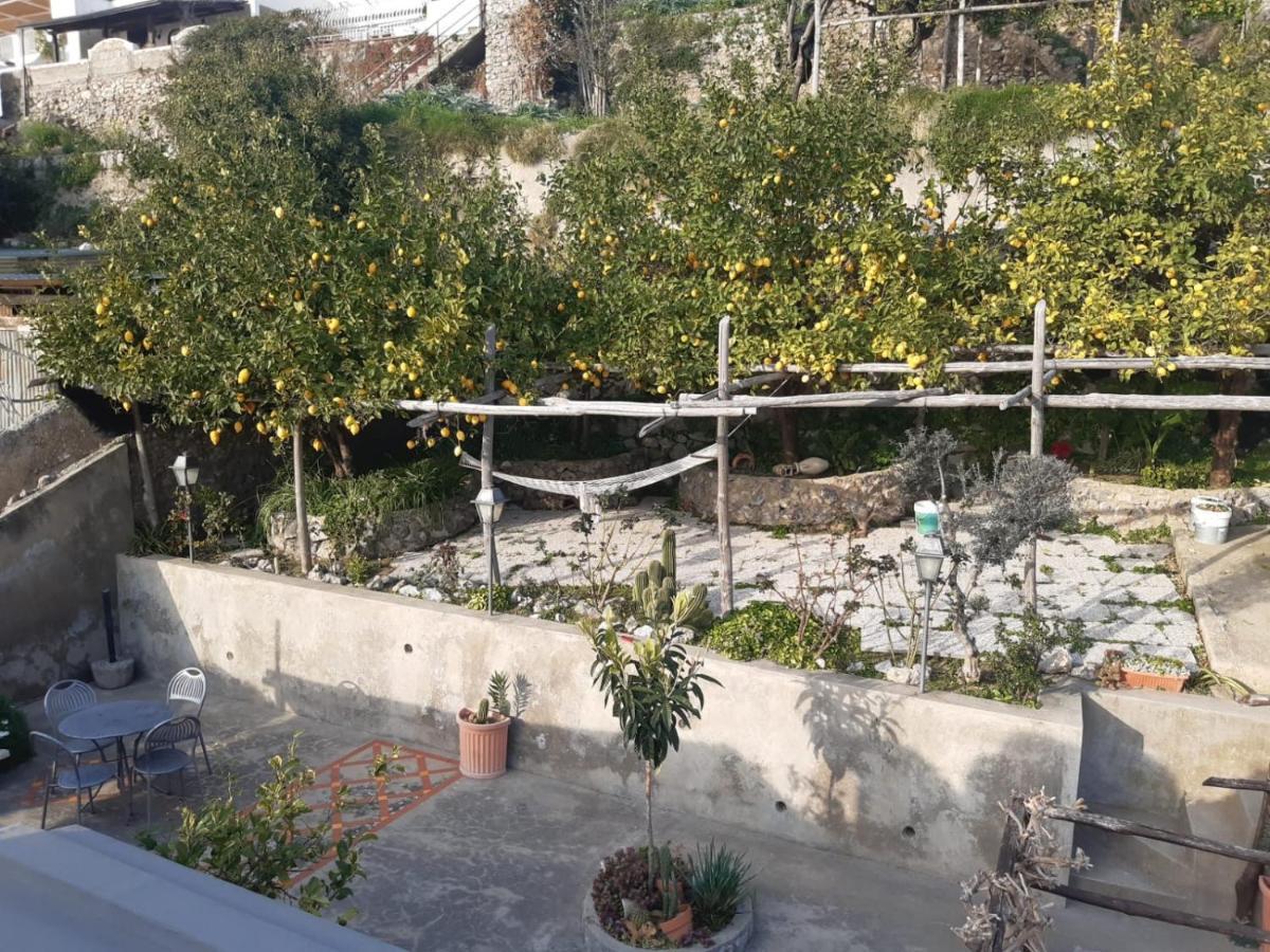 Giardino Eden Villa 普莱亚诺 外观 照片