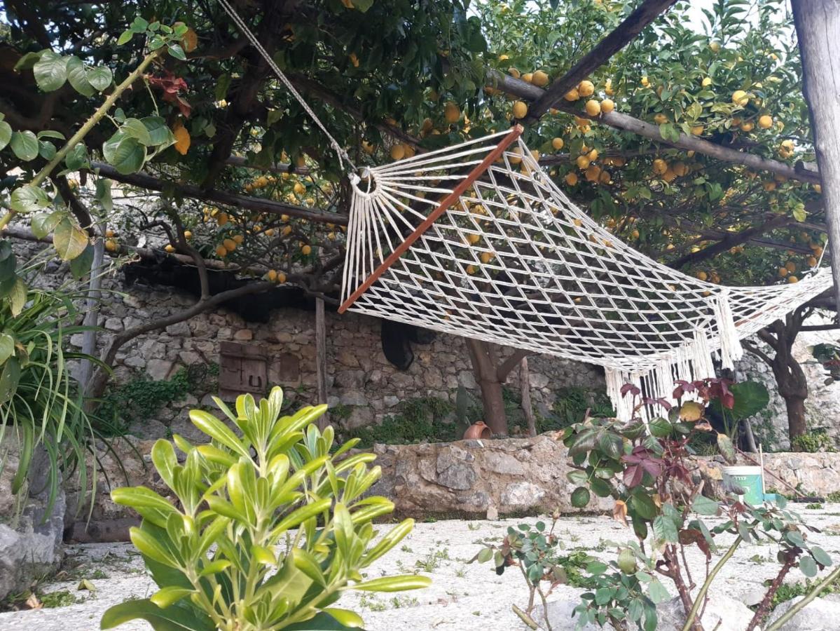 Giardino Eden Villa 普莱亚诺 外观 照片