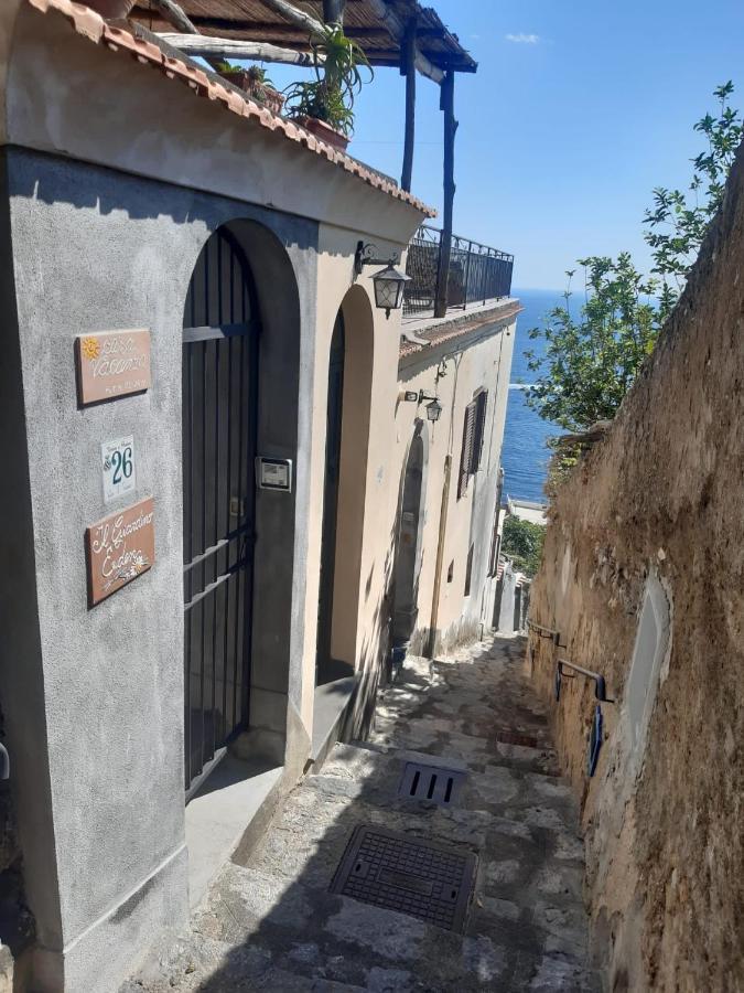 Giardino Eden Villa 普莱亚诺 外观 照片